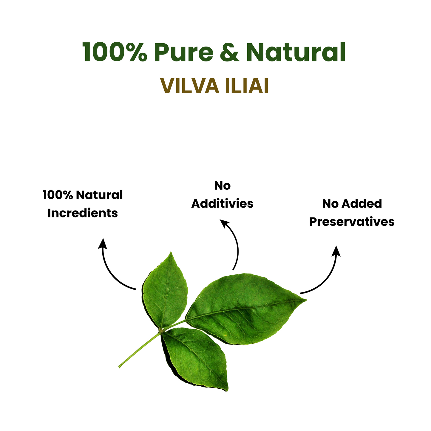 Vilva Ilai Powder