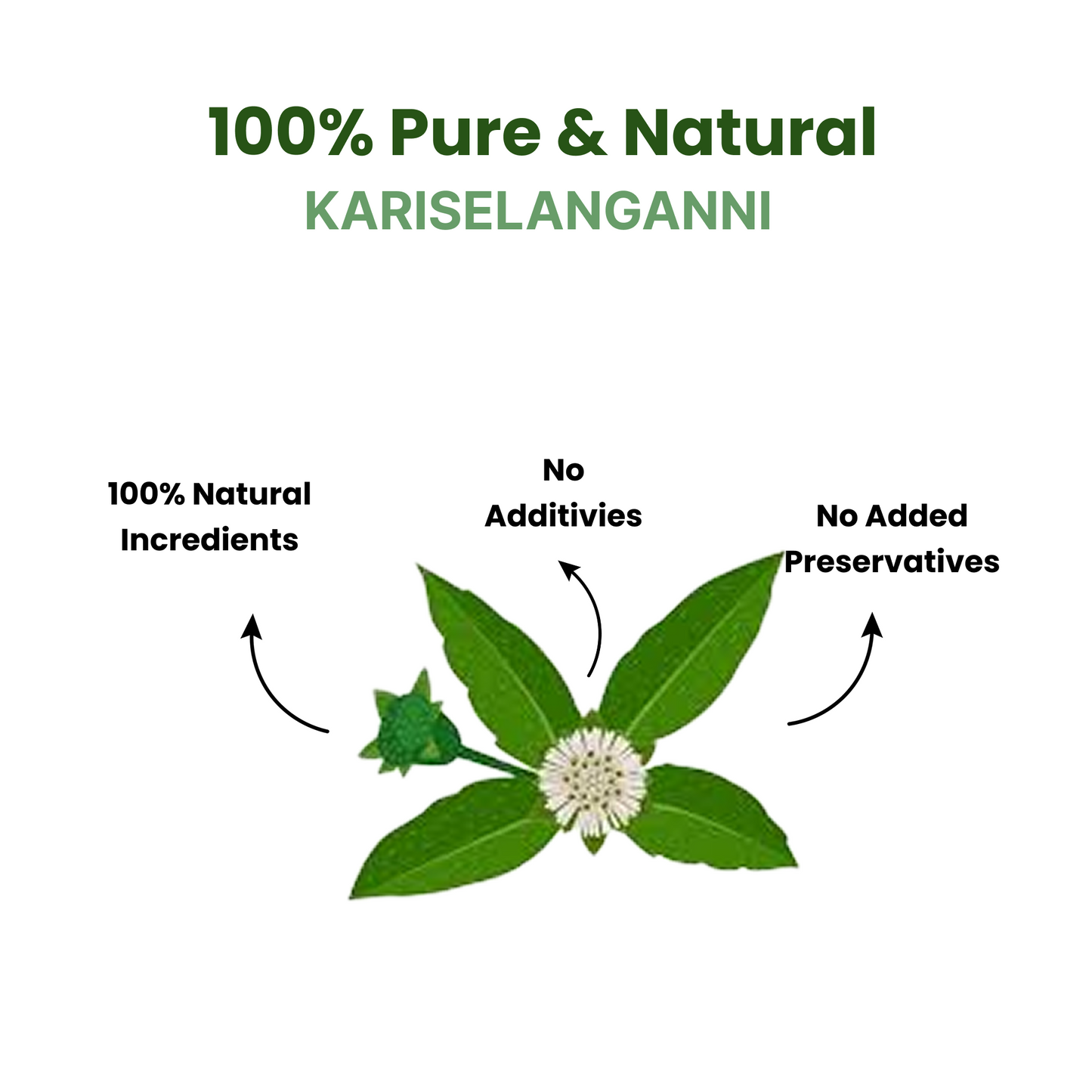 Kariselanganni Powder