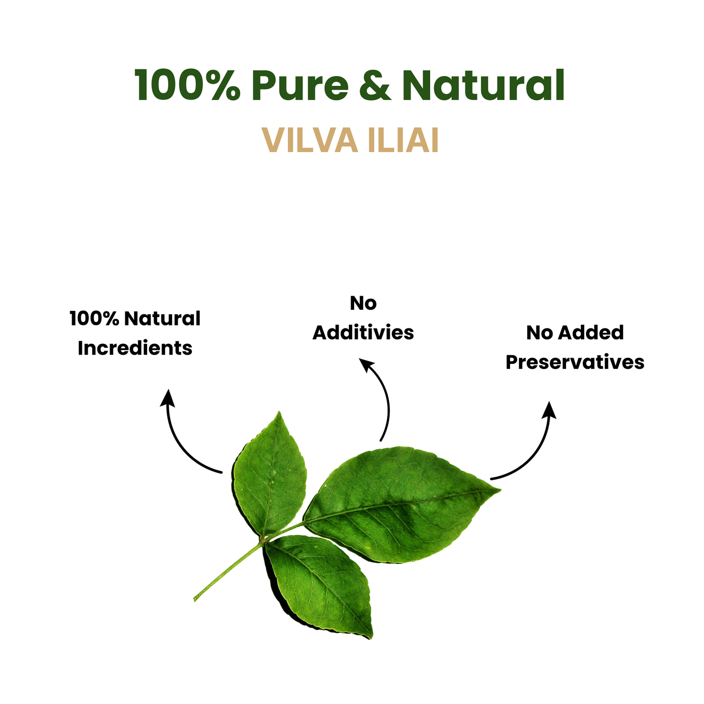 Vilva Ilai Powder