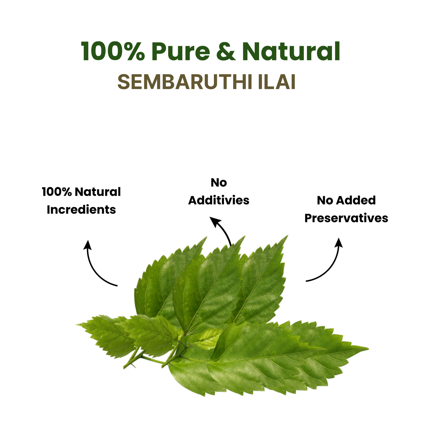 Sembaruthi Ilai Powder