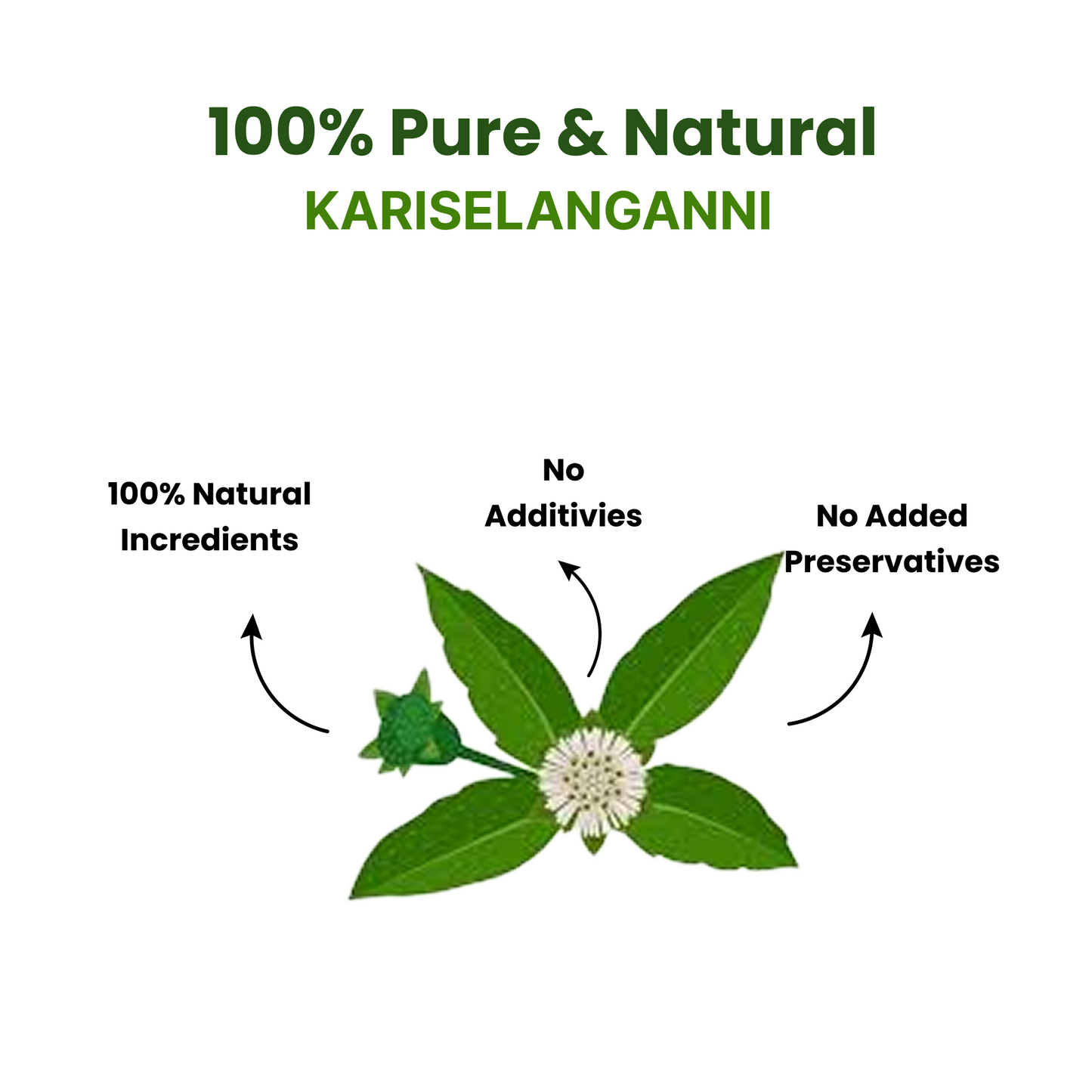 Kariselanganni Powder