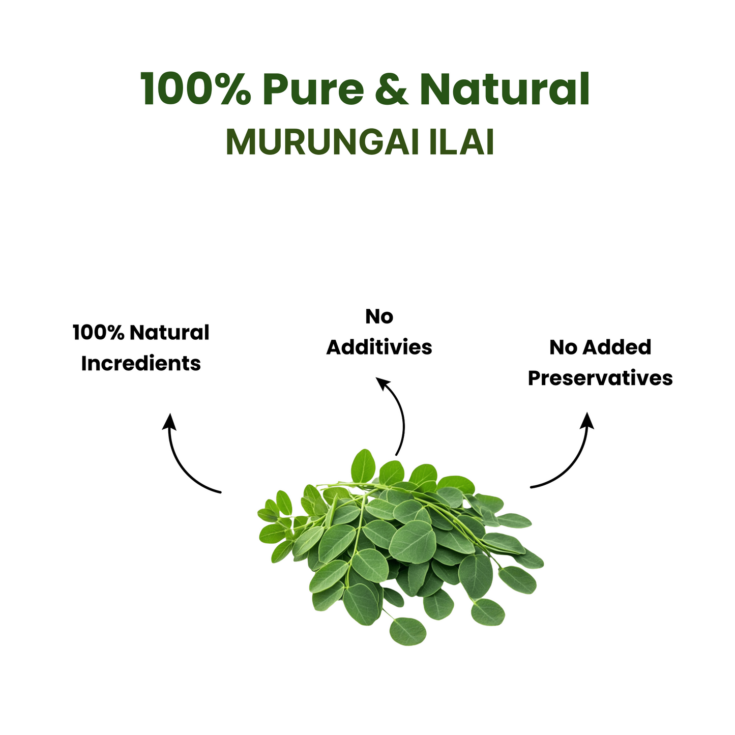 Murunga Ilai Powder