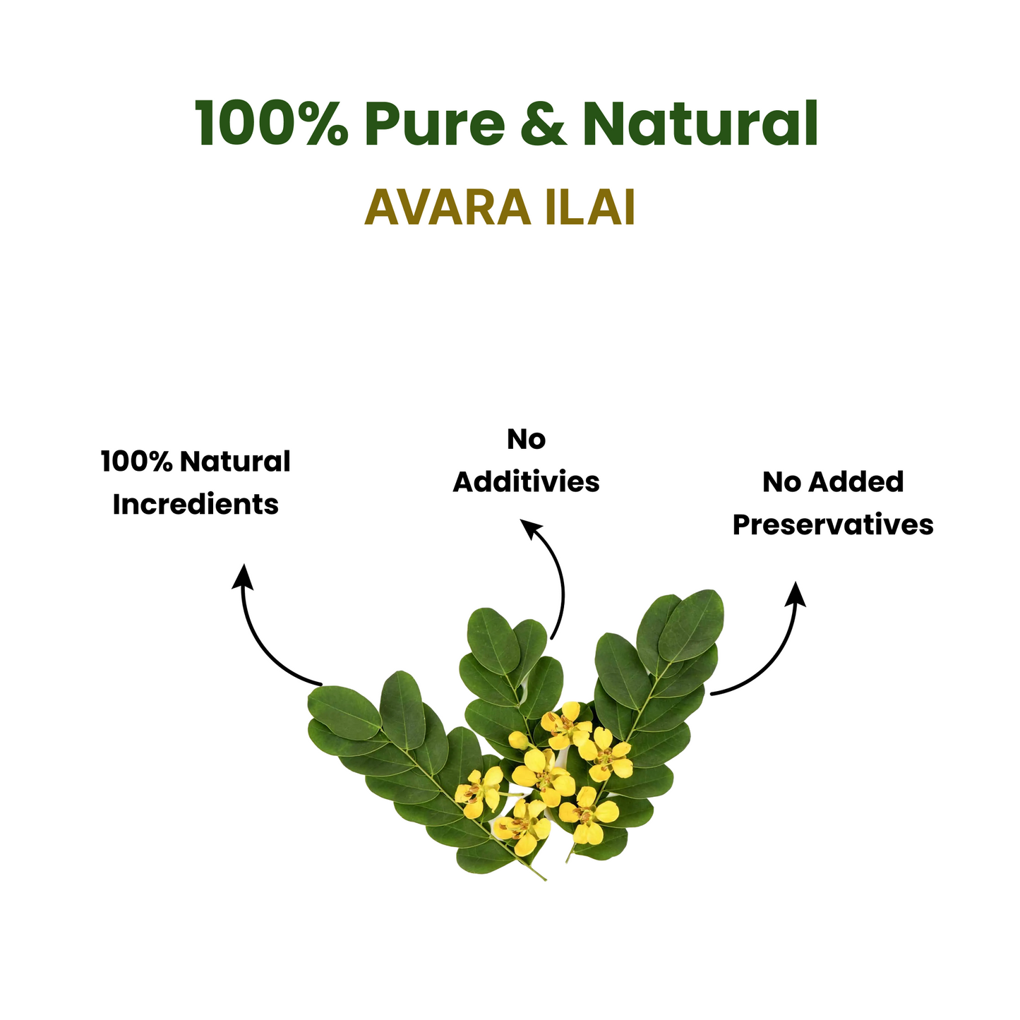 Aavara ilai Powder